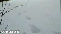 Русская шлюшка сосёт мужику хуй на морозе в поле